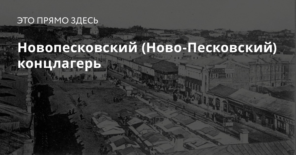 Лесбиянки при нацистском режиме